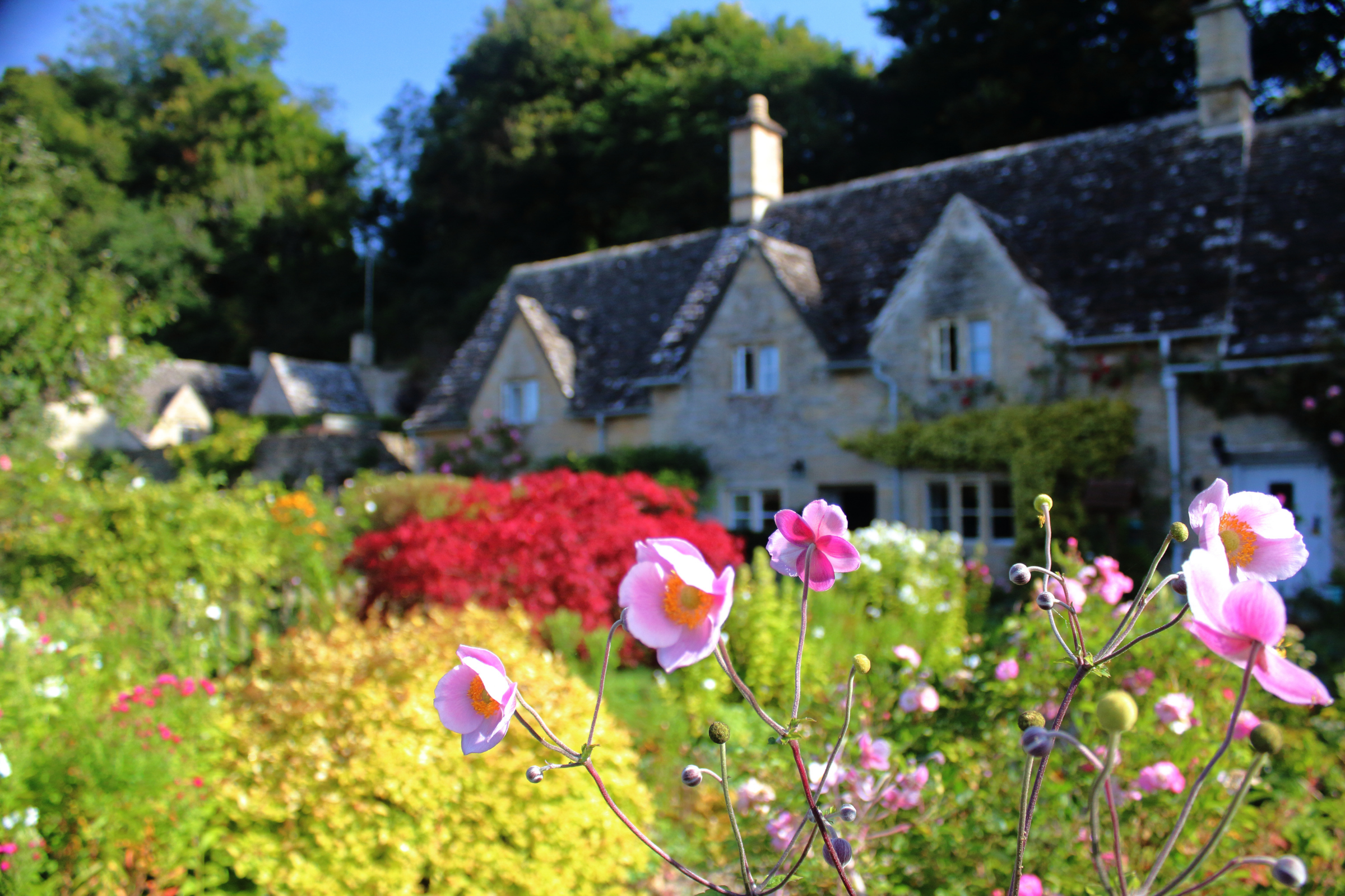 cotswolds (4).webp